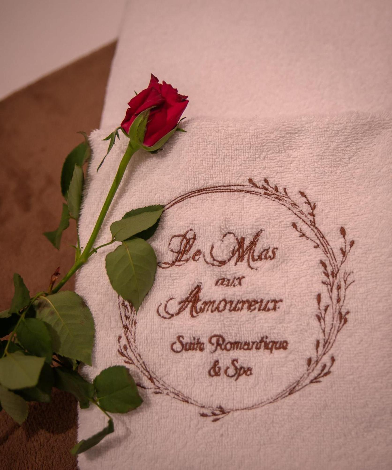 Le Mas Aux Amoureux , Suite Romantique Et Spa 르발카레스 외부 사진
